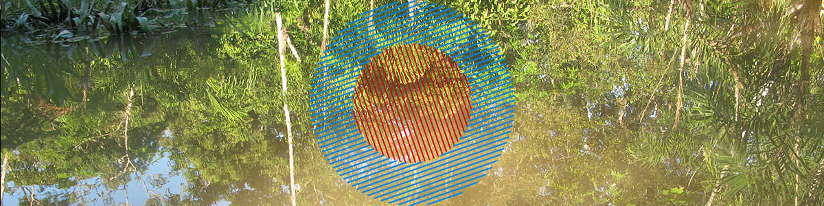 MS006 Spin The Wax Talismans