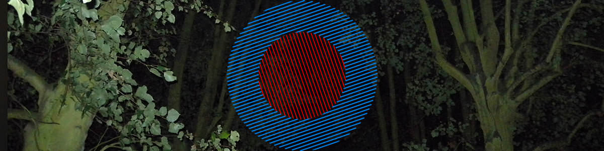MS026 Royal Free Echo