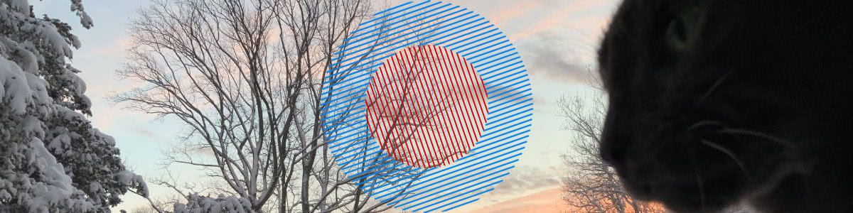 MS040 Chaotic Interpretation Of A Dream